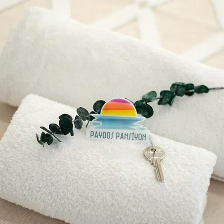 Paydos 卡斯